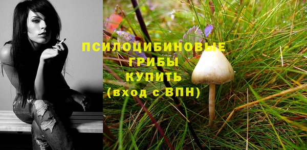 эйфоретик Балахна