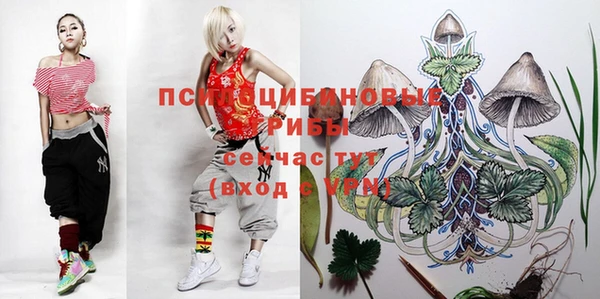 гашиш Баксан
