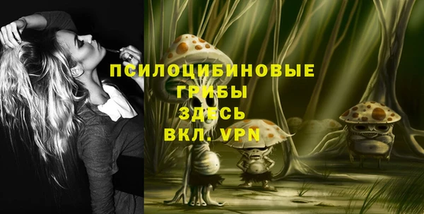 эйфоретик Балахна