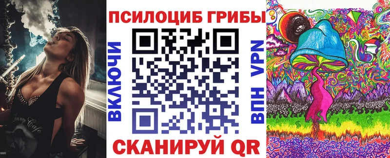 Псилоцибиновые грибы Psilocybe  MEGA ССЫЛКА  Курильск 