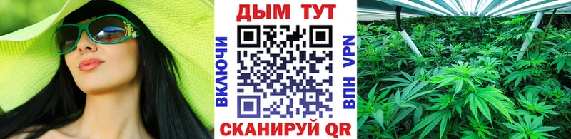 цены   Курильск  Шишки марихуана VHQ 